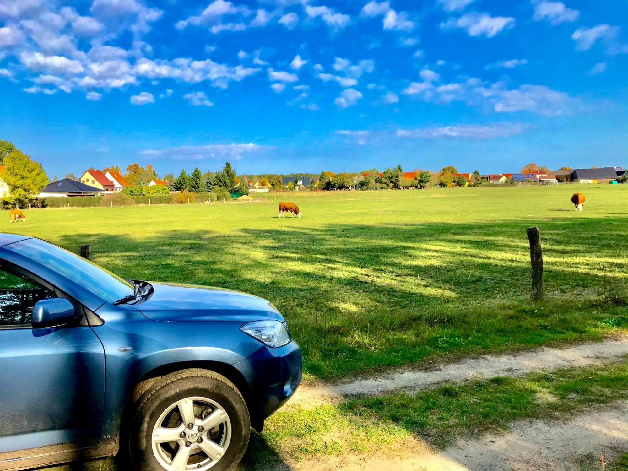 Top-Moderne Ferienwohnung Und Apartments Auf Frueherem Wunderschoenen Bauernhof Im Elbe-Elster-Kreis In Brandenburg Bei Herzberg-Elster, Schoenewalde, Holzdorf מראה חיצוני תמונה