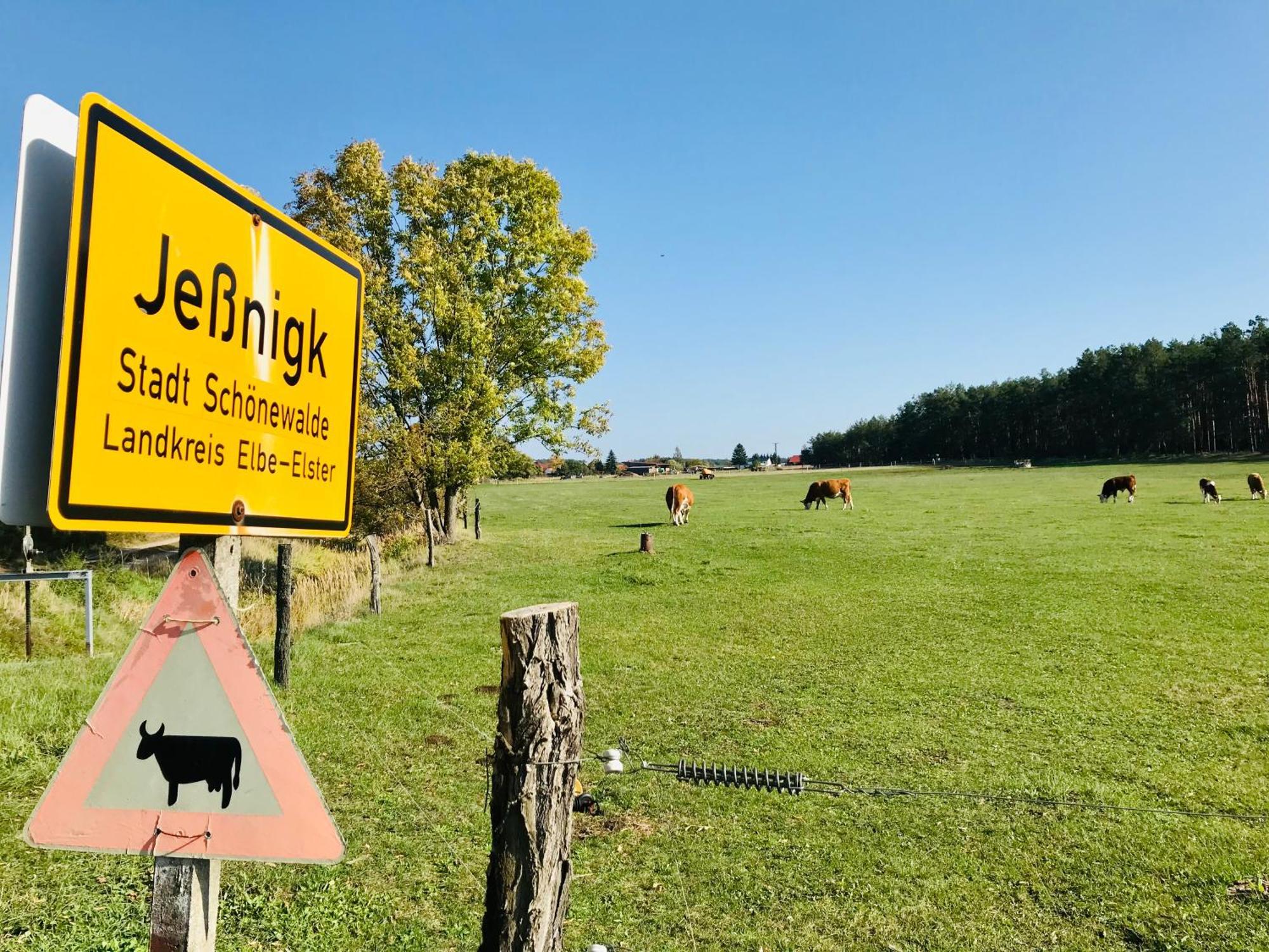 Top-Moderne Ferienwohnung Und Apartments Auf Frueherem Wunderschoenen Bauernhof Im Elbe-Elster-Kreis In Brandenburg Bei Herzberg-Elster, Schoenewalde, Holzdorf מראה חיצוני תמונה