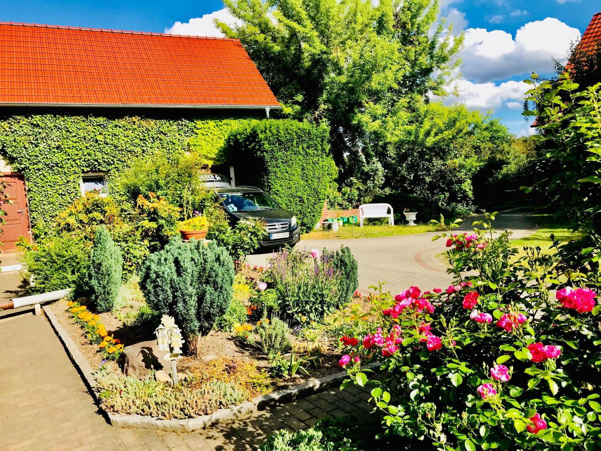 Top-Moderne Ferienwohnung Und Apartments Auf Frueherem Wunderschoenen Bauernhof Im Elbe-Elster-Kreis In Brandenburg Bei Herzberg-Elster, Schoenewalde, Holzdorf מראה חיצוני תמונה
