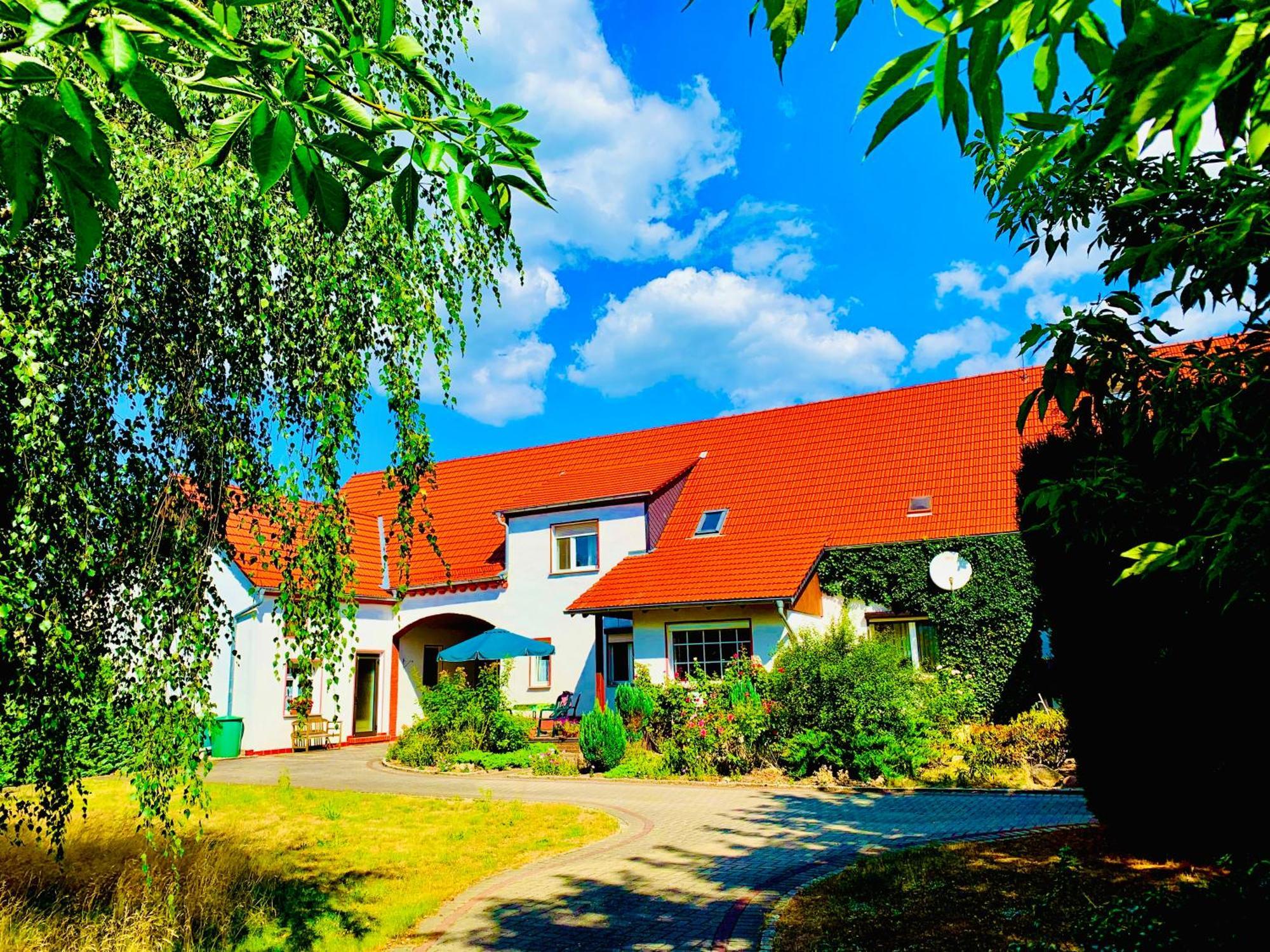 Top-Moderne Ferienwohnung Und Apartments Auf Frueherem Wunderschoenen Bauernhof Im Elbe-Elster-Kreis In Brandenburg Bei Herzberg-Elster, Schoenewalde, Holzdorf מראה חיצוני תמונה