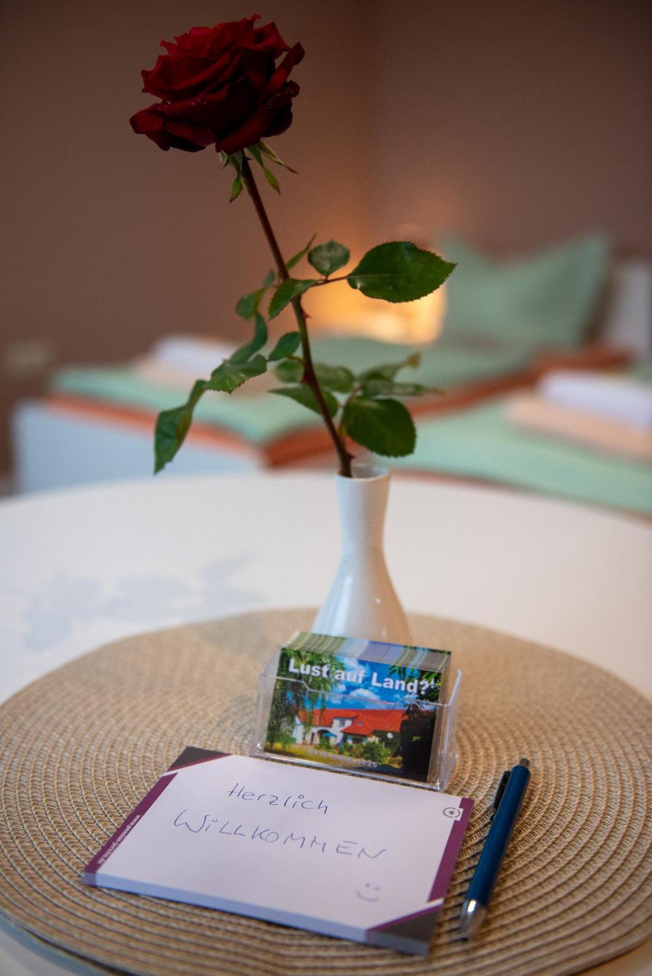 Top-Moderne Ferienwohnung Und Apartments Auf Frueherem Wunderschoenen Bauernhof Im Elbe-Elster-Kreis In Brandenburg Bei Herzberg-Elster, Schoenewalde, Holzdorf מראה חיצוני תמונה